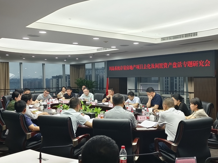 ag亚州游戏集团官网公司召开ag亚州游戏集团官网系统存量房地产项目去化及闲置资产盘活专题研究会_副本.jpg